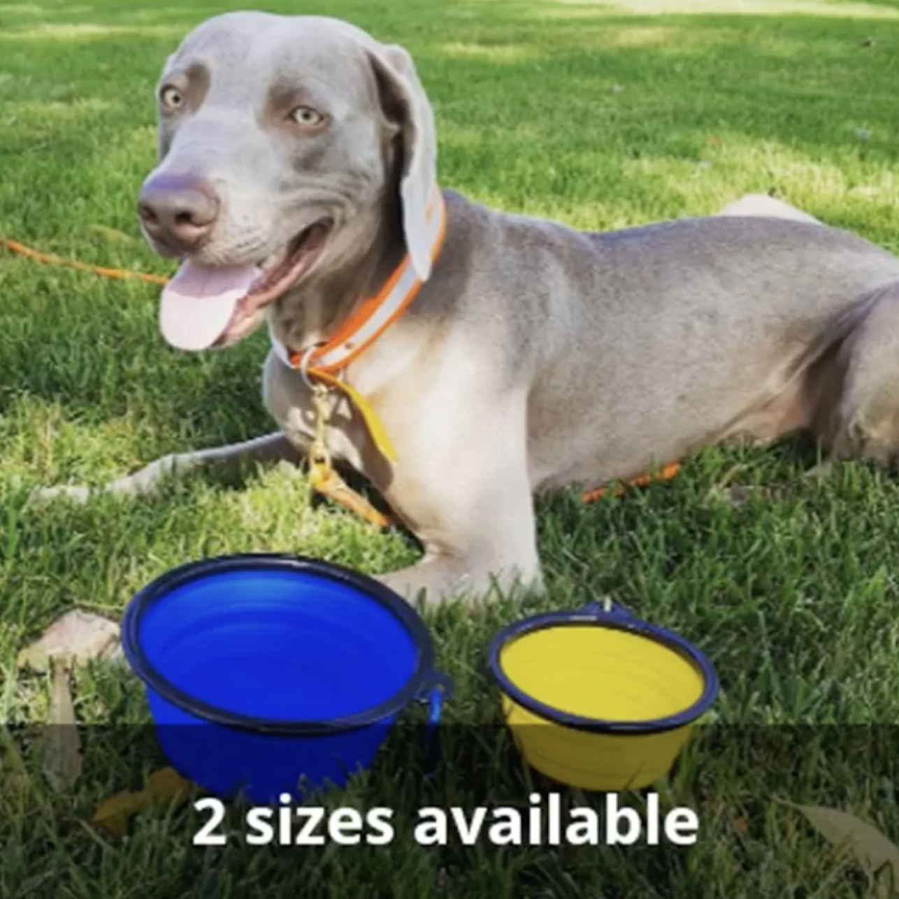 Single Blue Silicone Collapsible Travel Bowl - 12oz